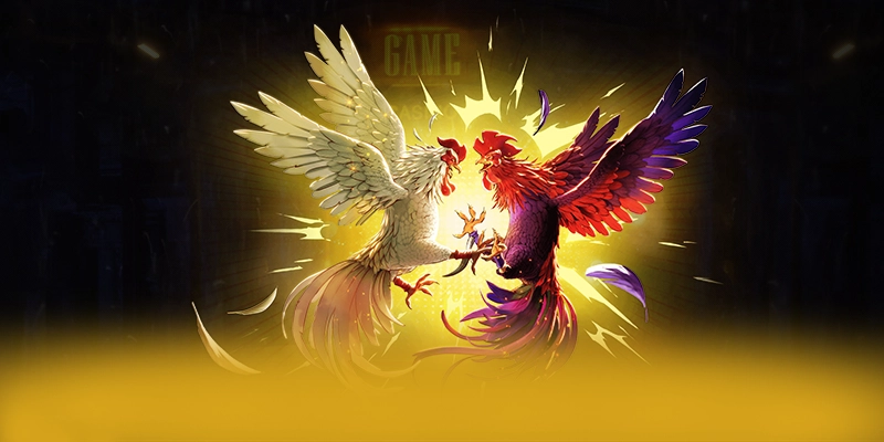 Phản hồi từ game thủ về FB88 Phản hồi từ game thủ về FB88